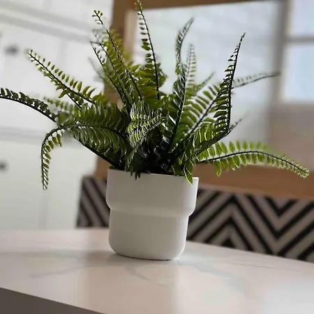 Loft Ravissant Avec Jacuzzi & Piscine - Cap D'agde Apartment *