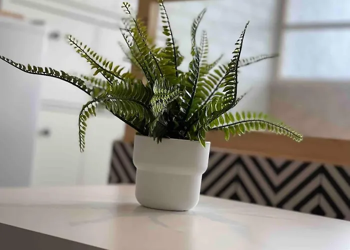 Loft Ravissant Avec Jacuzzi & Piscine - Cap D'agde Appartement *