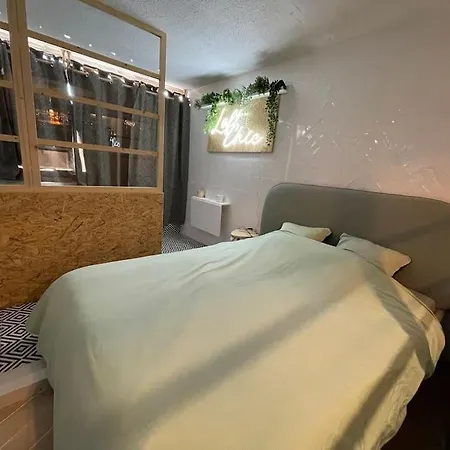 Loft Ravissant Avec Jacuzzi & Piscine - Cap D'agde Agde