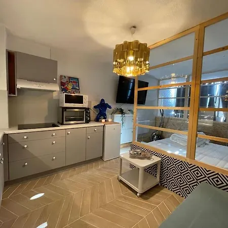 公寓 Loft Ravissant Avec Jacuzzi & Piscine - Cap D'agde 阿格德